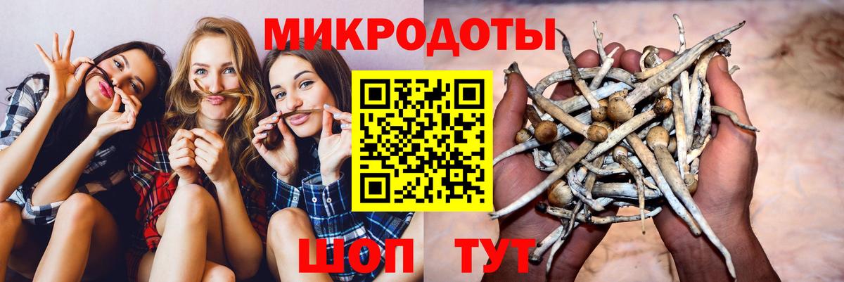 Псилоцибиновые грибы мицелий  где можно купить   Астрахань  Вход с VPN 